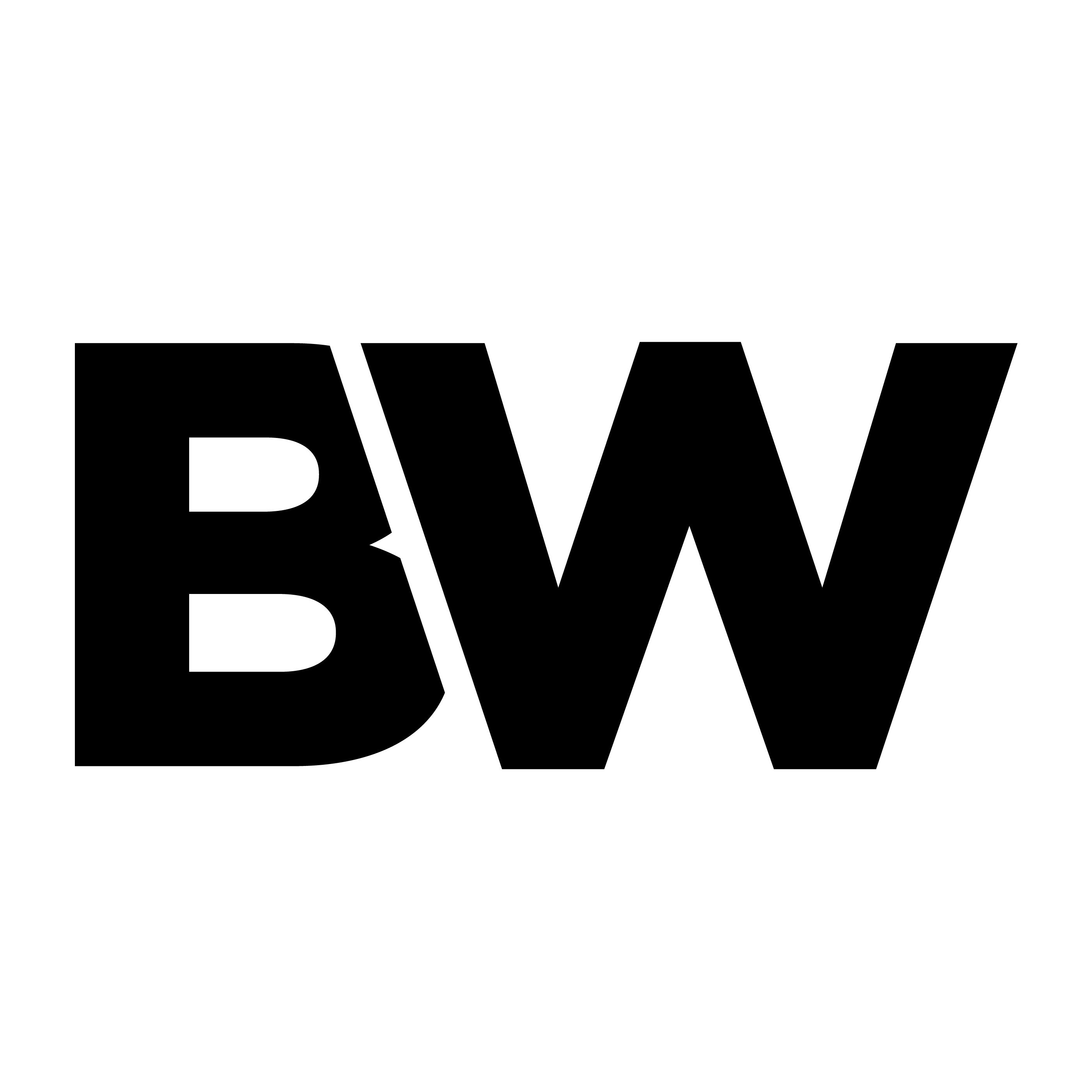 Kraftstoffkanister mit Ausgießer – BW® Sets für Benzin & Diesel – BW ...